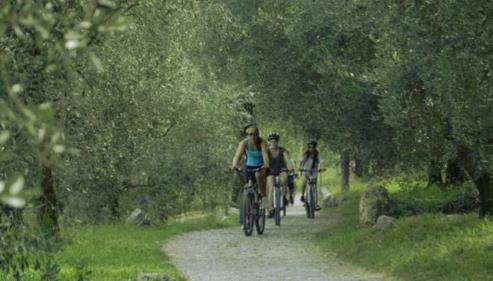 Bike Tour Possiamo proporvi due differenti opzioni di escursioni in bicicletta: a) una suggestiva gita in bicicletta/mountain bike (fattibile da tutti, pianeggiante!