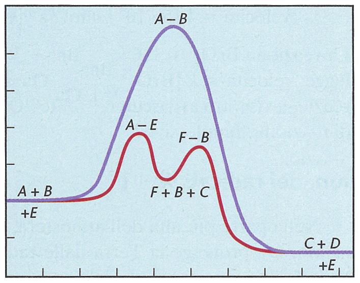 E a1 energia E a2 ΔH PAG 438 ES 61 1,2 10 3 mol L 1 s 1 ; 5,0 10 4 mol L 1 s 1 PAG 438 ES 62 La frazione che rimane dopo n tempi di semitrasformazione è 1/2 n.