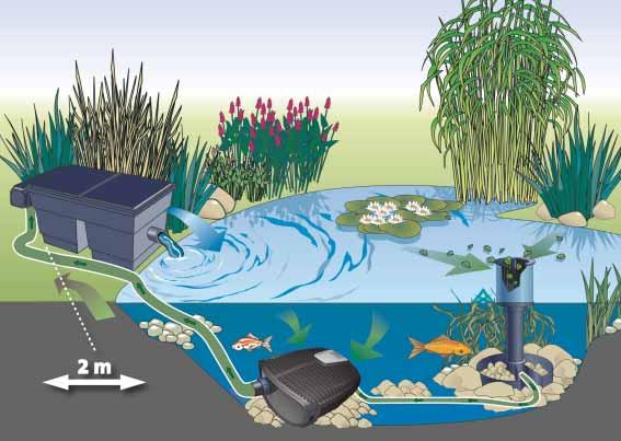 AQUAMAX POMPE PER FILTRI E RUSCELLI Rappresentazione schematica: Pompa per filtri e ruscelli AquaMax Eco Twin abbinata a un filtro continuo OASE e a uno skimmer aggiuntivo