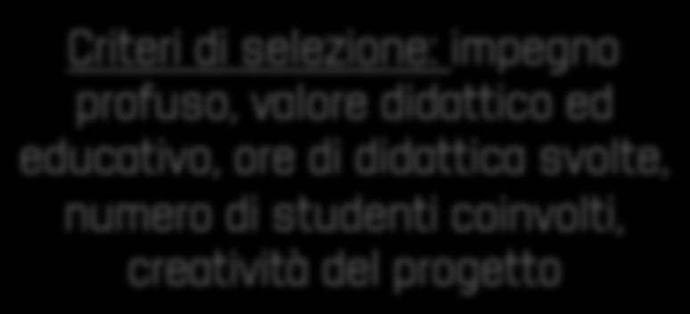 selezione: impegno profuso, valore didattico ed educativo,