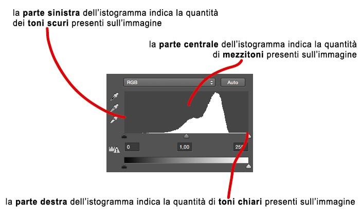 L'Istogramma L istogramma è un grafico bidimensionale che raffigura, sull asse y, la distribuzione dei livelli di luminosità dell immagine che il sensore della nostra fotocamera ha catturato.