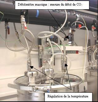 posto su una boccola di ricircolo del mosto in fermentazione. Un campionamento iniziale viene fatto per determinare la quantità di ossigeno effettivamente trasferita nel mezzo (Gerland et al., 98).