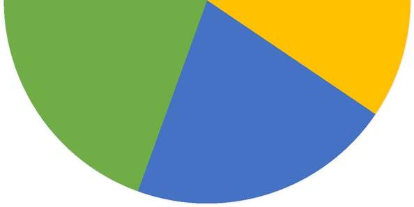 3% AEROSPAZIO 3% AGROALIMENTARE 10% ECO-INDUSTRIA 11% CONTRIBUTI CONCESSI ASSE 1