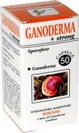 DIFESE IMMUNITARIE Ganoderma 50 capsule - 18,00 euro A925531509 Ingredienti