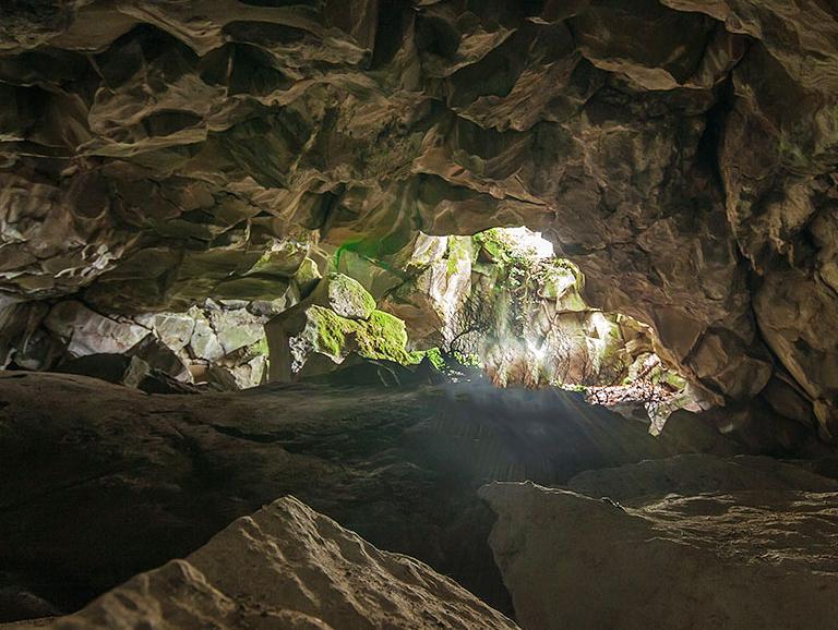 pendenza non impegnativa, fino a raggiungere una sella dove si piega a sinistra e in breve si raggiunge la vetta boscosa del Monte Venere.