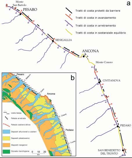 Gruppo Nazionale per la Ricerca sull Ambiente Costiero Marche Evoluzione della costa marchigiana dal 1948 al 1999 (a) e schema geologico e geomorfologico del