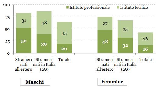 ISTRUZIONE Gli indirizzi di studio I giovani stranieri delle scuole secondarie di II grado registrano un maggiore afflusso verso indirizzi immediatamente professionalizzanti.