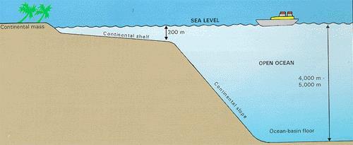 Come si forma il flysch Le correnti di torbidità - I Banco di Terra Nova (Atlantico settentrionale) Rottura cavi dopo un terremoto..perchè?