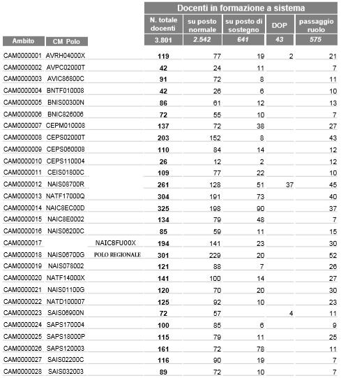 La ripartizione dei docenti neoassunti all interno degli ambiti