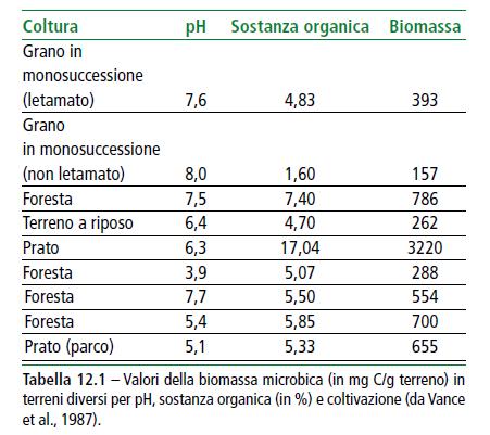 Microbial biomass C as an early and