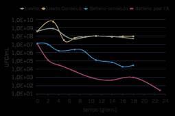 3 / Sviluppo delle popolazioni dei lieviti e dei batteri nella microfermentazioni in coinoculo e con l inoculo batterico effettuato al