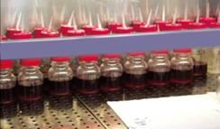 Materiali e metodi Microrganismi In questo studio sono stati utilizzati due starter commerciali di Saccharomyces cerevisiae (Esseco, Enartis Ferm Red Fruit ) e Oenococcus oeni (Esseco, ML ONE).