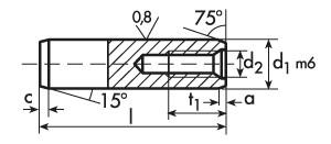 SPINE CILINDRICHE DIN 7979 C non temprate (m6) con filettatura interna MATERIALE: ACCIAIO 9 S Mn Pb 28 K (1.