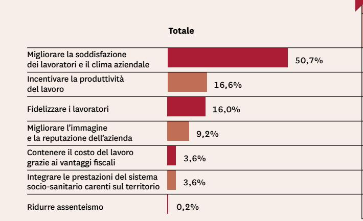 Obiettivi del Welfare