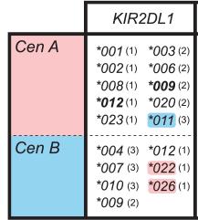 Genes and Immunity 2015) Gli alleli KIR2DL1 codificano per receuori che che riconoscono HLA- C Lys 80 (C2) Gli alleli KIR2DL1 che carauerizzano le regioni Cen- A codificano per receuori [aa 44