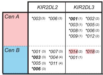 per il ligando dei receuori KIR2DL3. (A.K. Moesta et al. J.Immunol. 2008) (H.