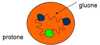 All interno di un protone sono confinati tre quark. La forza che lega i quark all interno del protone e detta forza o interazione forte.