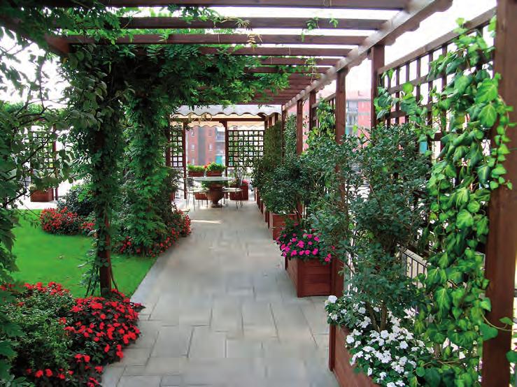 16 Tetti verdi e giardini pensili grigliati e tende oppure nei terrazzi con uno stile più rustico sono anche adatte stuoie, cannicciati o reti frangisole (figura 1.2).