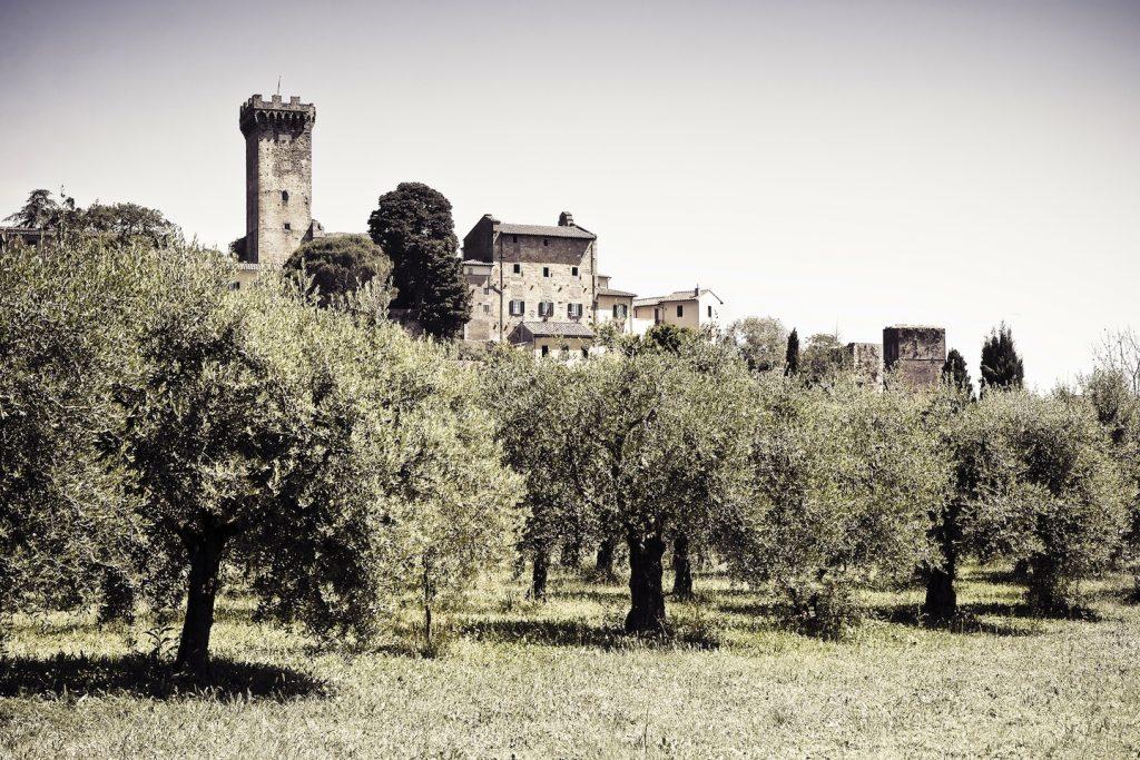 Nel 1406 Vicopisano cadde in mano a Firenze e nel XVI secolo diventò presto un centro agricolo in seguito alla deviazione del corso dell Arno, che determinò un completo cambiamento della zona,
