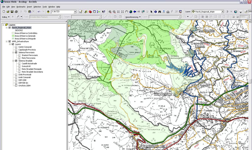 Servizio WMS tramite ESRI ArcCatalog 9/9 51