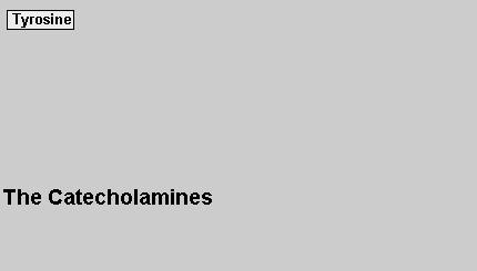 Amine biogene: catecolamine (dopamina, noradrenalina, adrenalina) serotonina istamina Dopamina, noradrenalina e adrenalina sono catecolamine che hanno in comune la stessa via biosintetica che parte