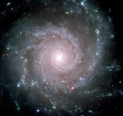 Galassie a Spirale Sono caratterizzate da: sferoidi (bulge) nucleari relativamente piccoli con stelle di