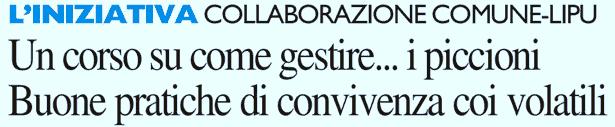 Sezione: