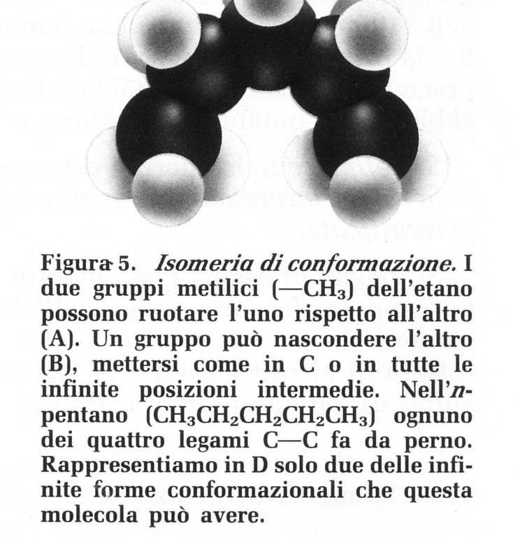 cis-trans o isomeria geometrica differisce la disposizione