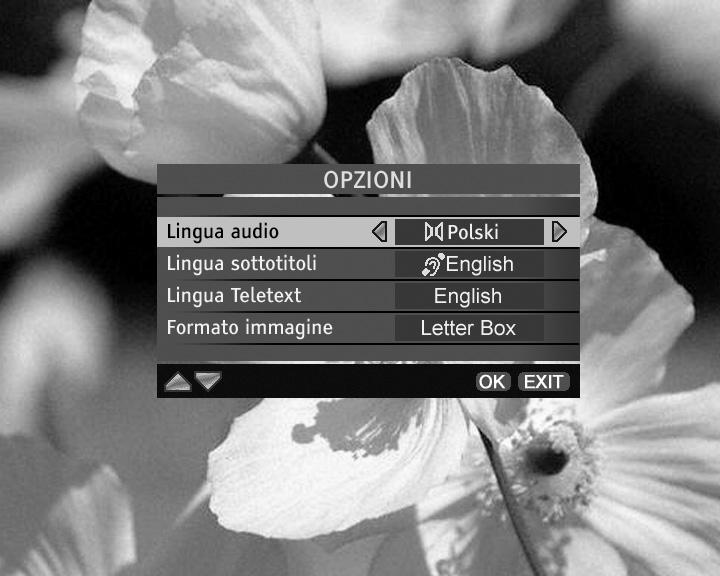 4610_A5_IT.qxp 09/06/2005 15:33 Page 11 5.6 Modificare le opzioni del programma corrente Premere il tasto 4 o il tasto i per accedere alle Opzioni del menu.