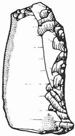 3 2 5 Fig 5- Monte Mezzana, Sito 2 B (gr nat), (Dis G Bombonato) 6 BIBLIOGRAFIA BAGOLINI B, 1984 Il popolamento preistorico nella Valle dei Laghi, Valle di Cavedine e Basso Sarca in AAVV Dal Garda al