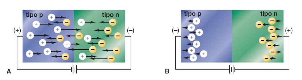 La giunzione p-n Il transistore n-p-n è costituito dall interposizione di un semiconduttore di tipo p tra 2 semiconduttori di tipo n.