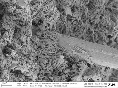 Sacco da 20 kg Nelle foto ottenute al microscopio si evidenzia la affinità chimica