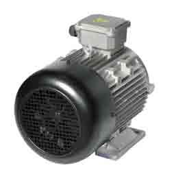 Ricambi Spare parts Motori I Electric motors Descrizione Description Motori 230 V - 50 Hz monofose I Electric motors 230 V - 50 Hz 1-phase 4101121 Motore hp2 MEC80 240/50 V / Motor hp2 MEC80 240/50V