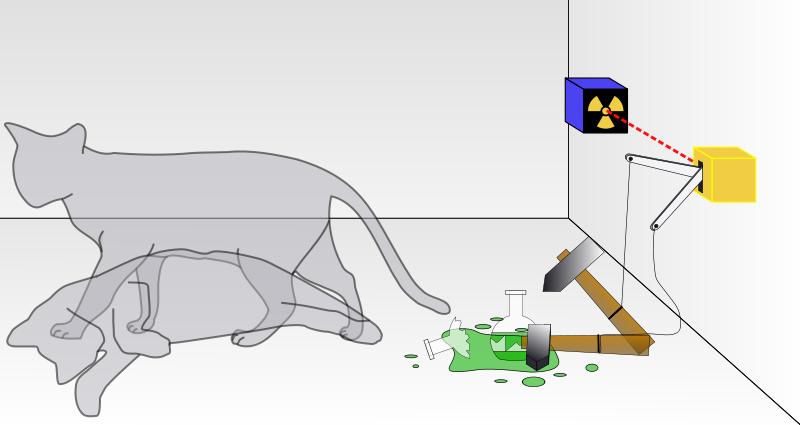 Difficoltà interpretative della MQ Il gatto di Schrödinger 13 N 13 C +