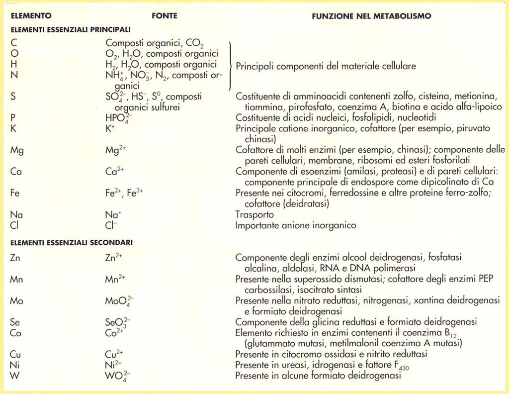 Elementi essenziali, loro