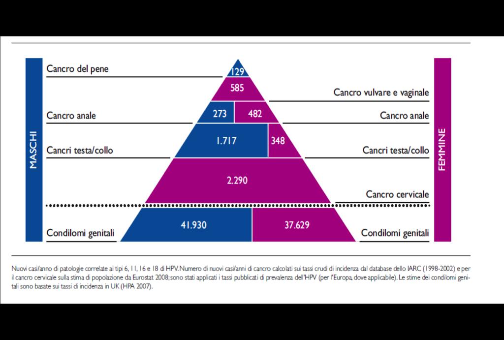 Patologie HPV-correlate/anno in Italia (IARC 1998-2002) Nuovi casi/anno di patologie correlate ai tipi 6,11,16 e 18 di HPV.