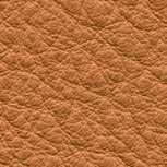 ISO 9001:2008 Leather from Italy