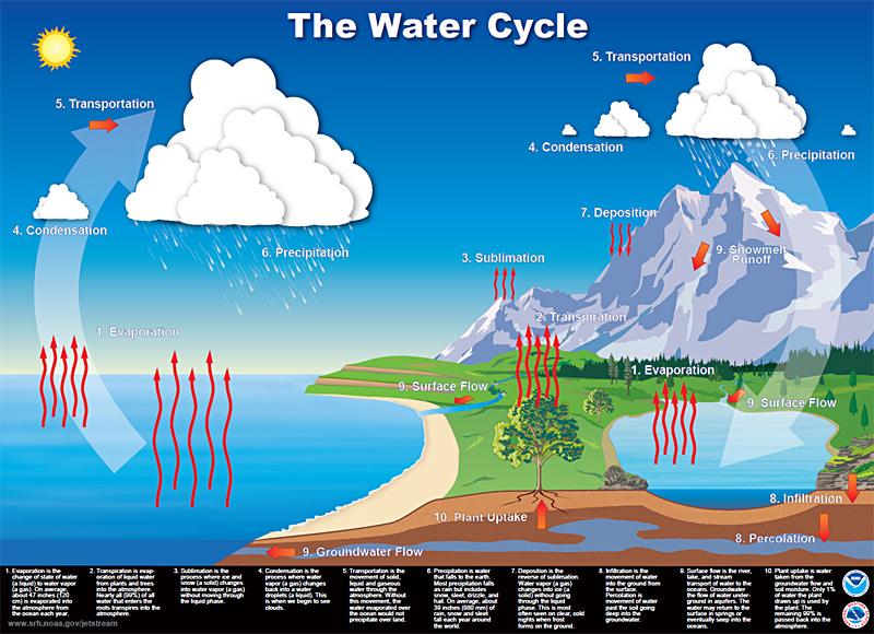 Il ciclo idrologico Idrologia - A.A. 17/18 - R.