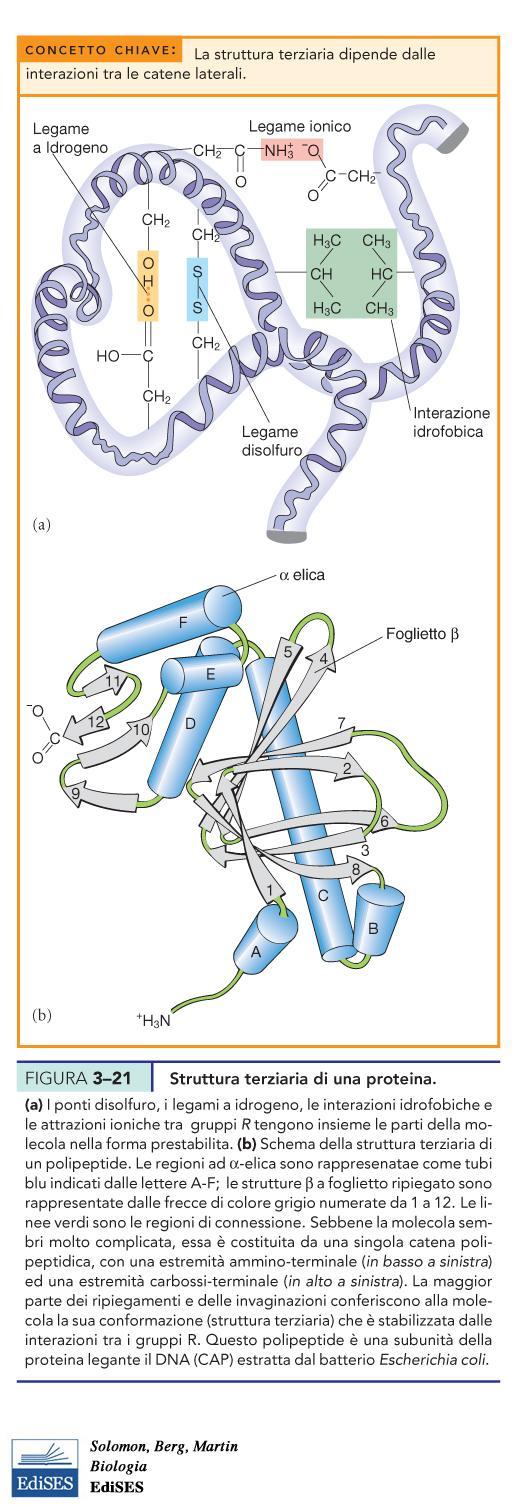 LA STRUTTURA TERZIARIA DIPENDE