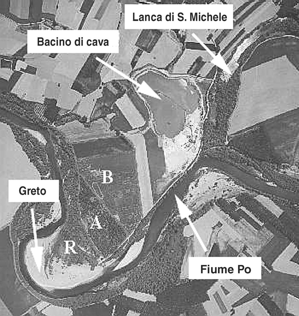 RIV. PIEM. ST. NAT., 26, 2005: 241-262 un querco-carpineto (indicato con B in fig. 1) di circa 8 ettari, impiantato nel 1992, indicato di seguito come bosco nuovo.