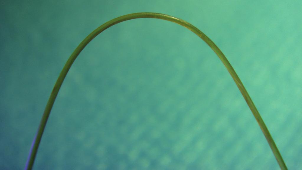 1 Suture Classificazione dei materiali da sutura Sono tre le caratteristiche universalmente utilizzate per classificare i materiali da sutura: l origine, il comportamento e la struttura.