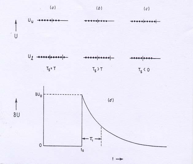 Rilassamnto nrgtico nl sistma di molti spin: T L fftto dll assorbimnto di radiazion è di aumntar la popolazion dllo stato α (β α) aumntando così la tmpratura di spin.