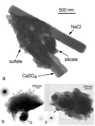 Modello aerosol Modal Gas precursors: HNO3, NH3, H2SO4 toluene, xylene isoprene, monoterpene n u c l e a t i o n condensation/evaporation coagulation AERO3 (Binkowski and Roselle, 2003) ISORROPIA