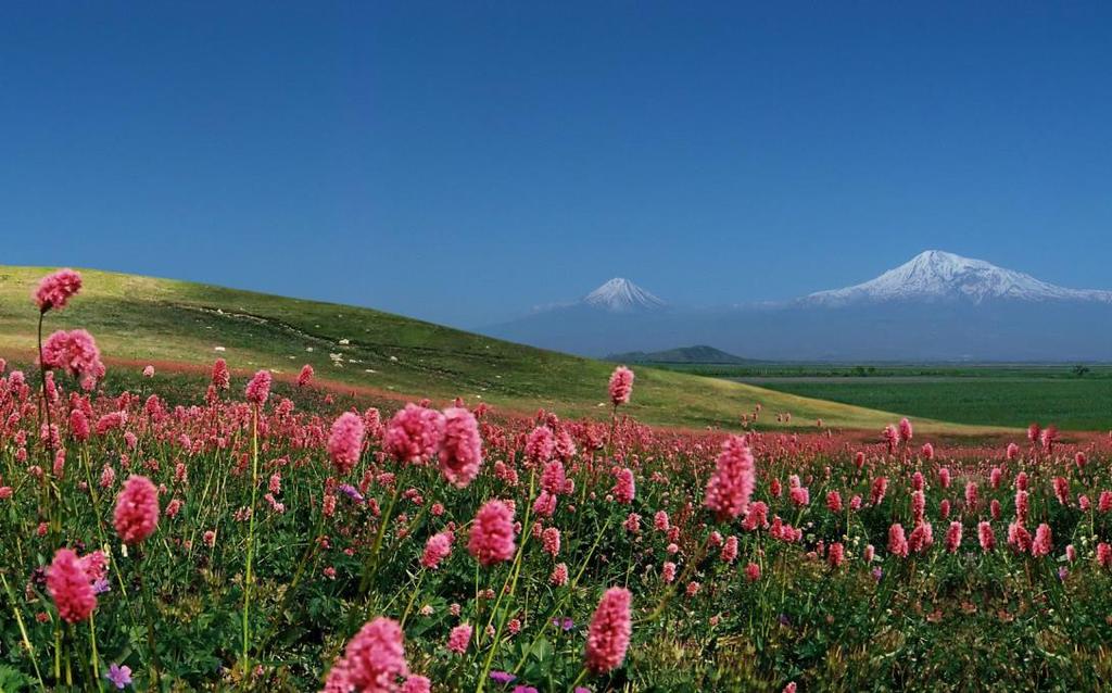 Trekking in Armenia Sulle tracce dell Arca di Noè Al confine impercettibile tra Europa e Asia, i paesi del Caucaso dividono il Mar Caspio dal Mar Nero.