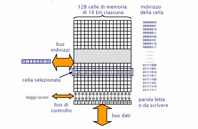 Struttura semplificata della memoria centrale gruppo di celle (LOCAZIONI DI MEMORIA); ciascuna (PAROLA) di 16/32/64 bit Indirizzi delle
