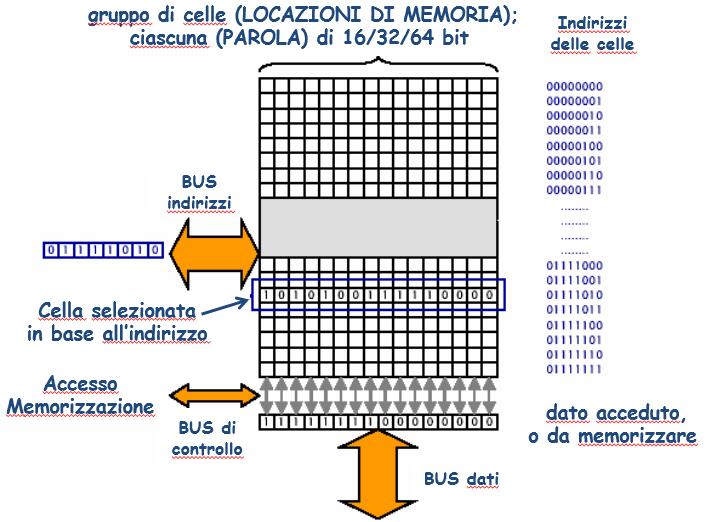 Funzionamento di ACCESSO e MEMORIZZAZIONE In ACCESSO, il processore invia l indirizzo della cella da visitare, attraverso il BUS INDIRIZZI.