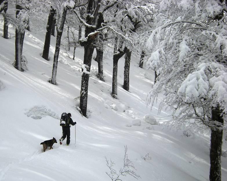 Oltre i 1300 m c è moltissima neve fresca.