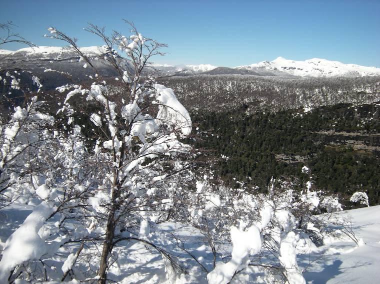 Un ambiente decisamente invernale!