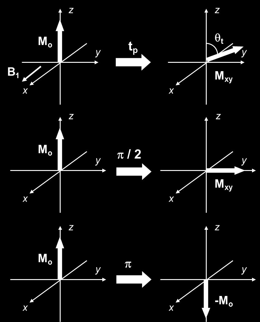 Effetto di impulsi di radiaione a RF sulla