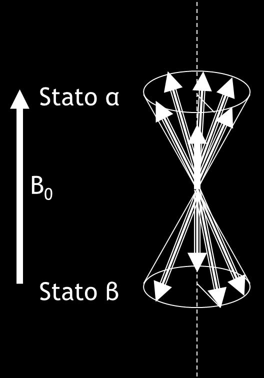 agnetiaione La agnetiaione è soggetta ad un moto di precessione attorno alla direione di B